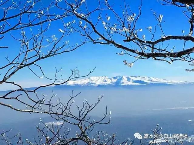 迷人的妖精