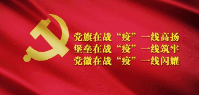 植物大战僵尸反击篇